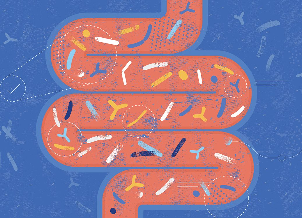 FUNIBER-gut-microbiota-probiotics-concept