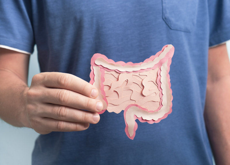 FUNIBER-it-rrss-intestino-blog