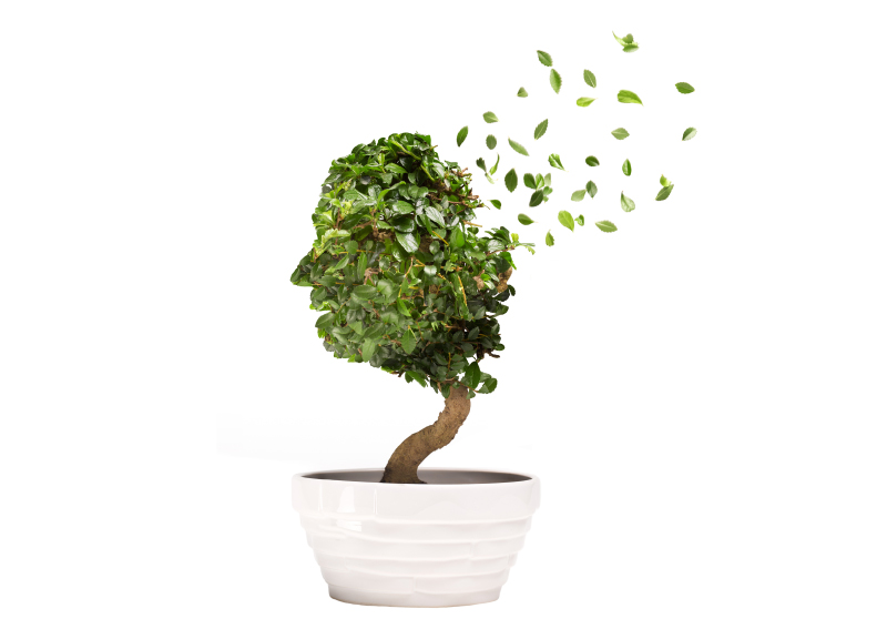 FUNIER-it-rrss-alzheimer-blog